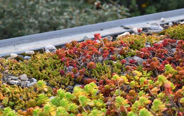 the cost of Abernant green roof installation