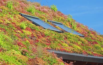 Abernant living roof systems
