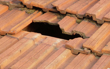 roof repair Abernant