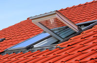 Abernant roof window