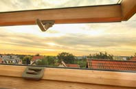 rated Abernant roof window companies